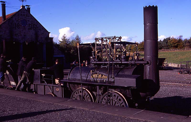locomotion