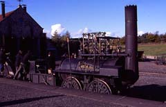 locomotion